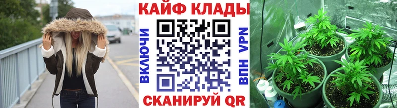 Где купить наркоту Богородицк Псилоцибиновые грибы ГАШ