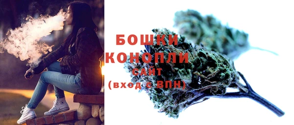гидропоника Богданович