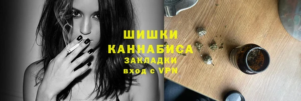 индика Богородицк