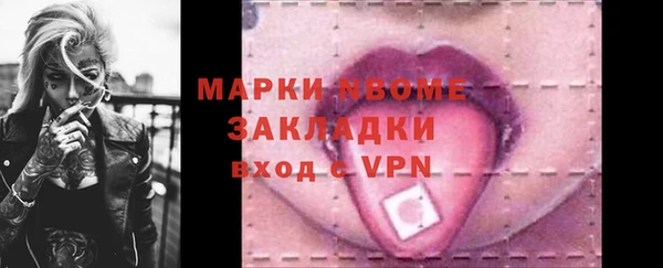 индика Богородицк