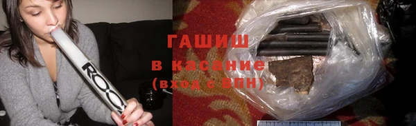 индика Богородицк