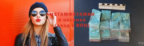 индика Богородицк