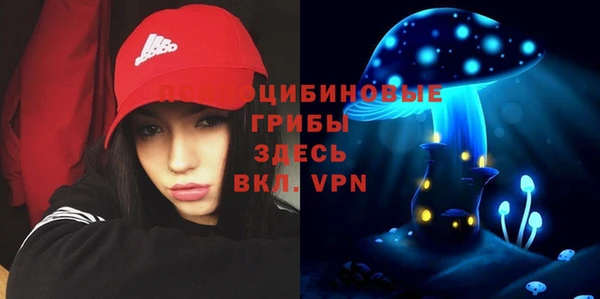 гидропоника Богданович