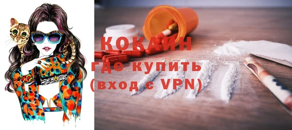 индика Богородицк