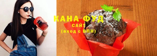 индика Богородицк